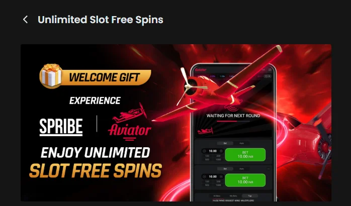 VIP Bonus Banner